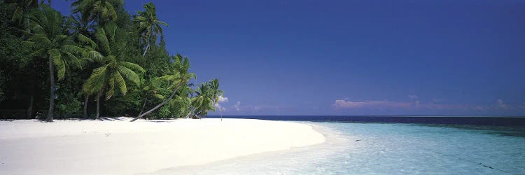 White Sand Beach Maldives by Panoramic Images wall art