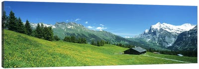 Grindelwald Switzerland Canvas Art Print - Switzerland Art