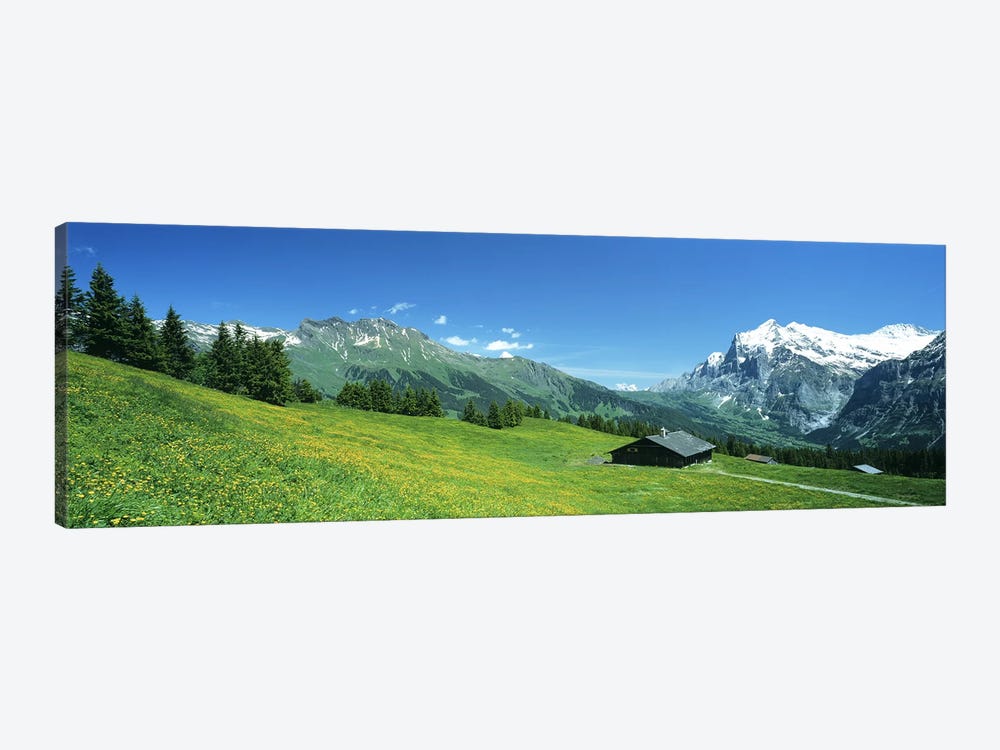 Grindelwald Switzerland by Panoramic Images 1-piece Art Print