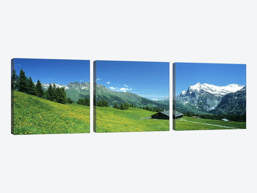 Grindelwald Switzerland by Panoramic Images 3-piece Canvas Art Print