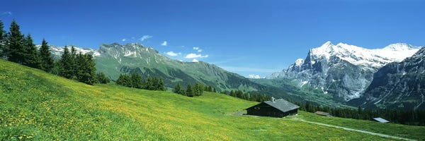 Switzerland: Grindelwald Switzerland by Panoramic Images