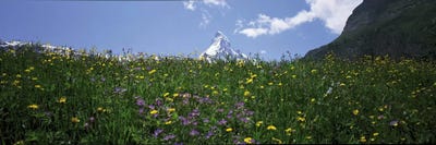 Matterhorn Switzerland by Panoramic Images multi panel art