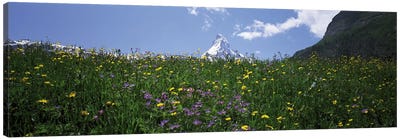 Matterhorn Switzerland Canvas Art Print - Spring Art
