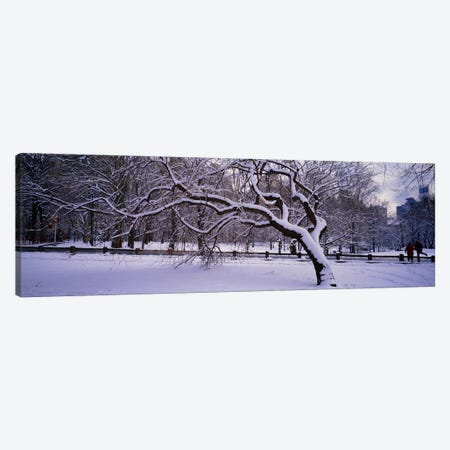 Trees covered with snow in a park, Central Park, New York City, New York state, USA Canvas Print #PIM2775} by Panoramic Images Canvas Wall Art