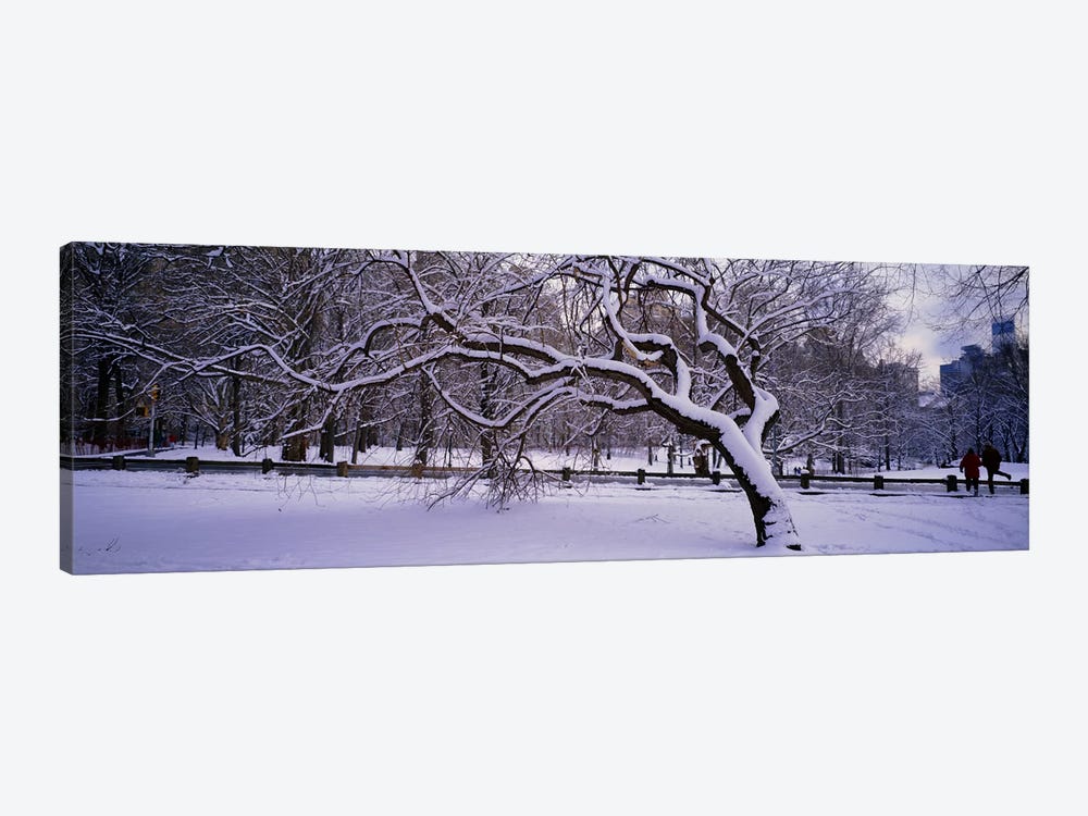 Trees covered with snow in a park, Central Park, New York City, New York state, USA by Panoramic Images 1-piece Canvas Art Print