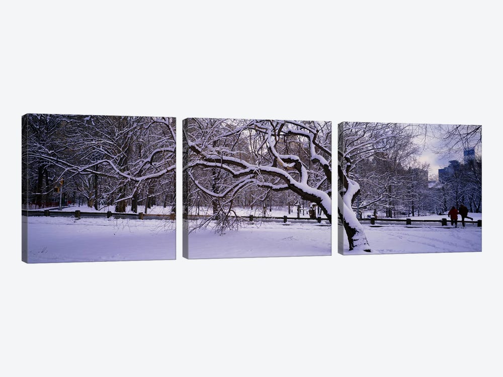 Trees covered with snow in a park, Central Park, New York City, New York state, USA by Panoramic Images 3-piece Canvas Art Print