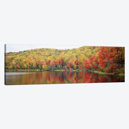 Autumnal Landscape, Savoy Mountain State Forest, Massachusetts, USA Canvas Print #PIM2796} by Panoramic Images Canvas Art