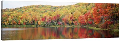 Autumnal Landscape, Savoy Mountain State Forest, Massachusetts, USA Canvas Art Print - Massachusetts Art