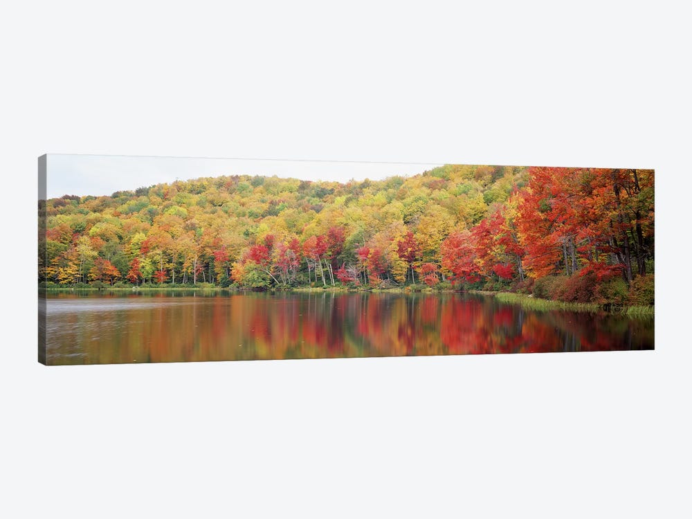 Autumnal Landscape, Savoy Mountain State Forest, Massachusetts, USA by Panoramic Images 1-piece Canvas Art