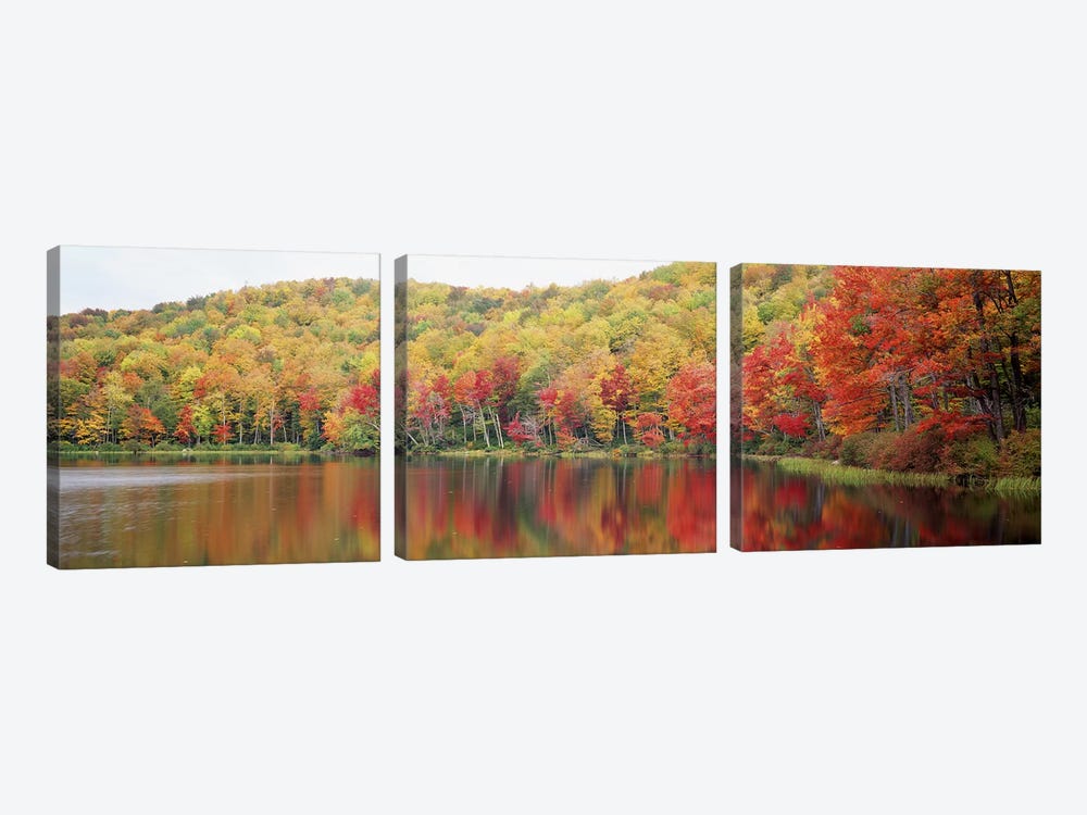 Autumnal Landscape, Savoy Mountain State Forest, Massachusetts, USA by Panoramic Images 3-piece Canvas Wall Art