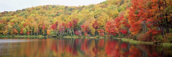 Massachusetts: Autumnal Landscape, Savoy Mountain State Forest, Massachusetts, USA by Panoramic Images