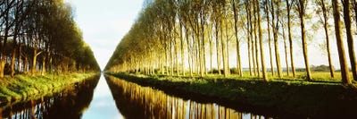 Tree-Lined Canal (Damse Vaart), West Flanders, Flemish Region, Belgium by Panoramic Images canvas print