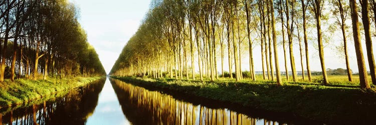 Tree-Lined Canal (Damse Vaart), West Flanders, Flemish Region, Belgium by Panoramic Images wall art