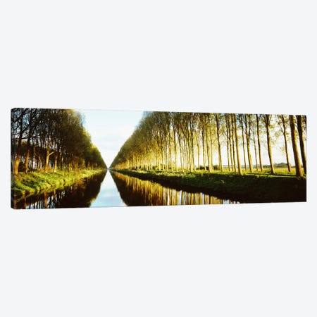 Tree-Lined Canal (Damse Vaart), West Flanders, Flemish Region, Belgium Canvas Print #PIM2803} by Panoramic Images Canvas Art Print