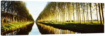 Tree-Lined Canal (Damse Vaart), West Flanders, Flemish Region, Belgium Canvas Art Print - Belgium
