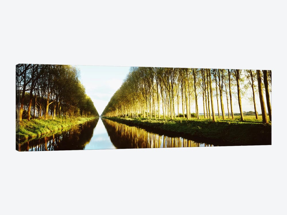 Tree-Lined Canal (Damse Vaart), West Flanders, Flemish Region, Belgium by Panoramic Images 1-piece Canvas Artwork