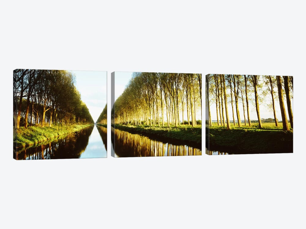Tree-Lined Canal (Damse Vaart), West Flanders, Flemish Region, Belgium by Panoramic Images 3-piece Canvas Wall Art