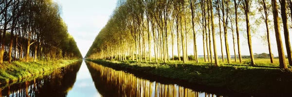 Tree-Lined Canal (Damse Vaart), West Flanders, Flemish Region, Belgium
