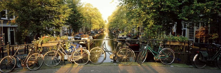 Row Of Bicycles, Amsterdam, Netherlands