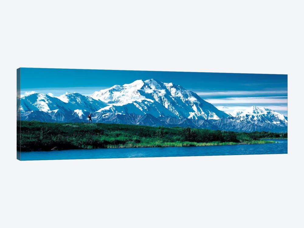 Denali National Park AK USA by Panoramic Images 1-piece Canvas Wall Art