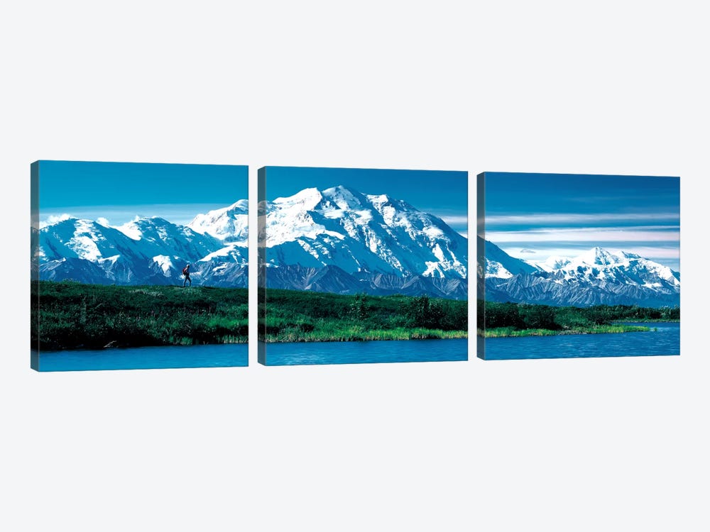 Denali National Park AK USA by Panoramic Images 3-piece Canvas Artwork