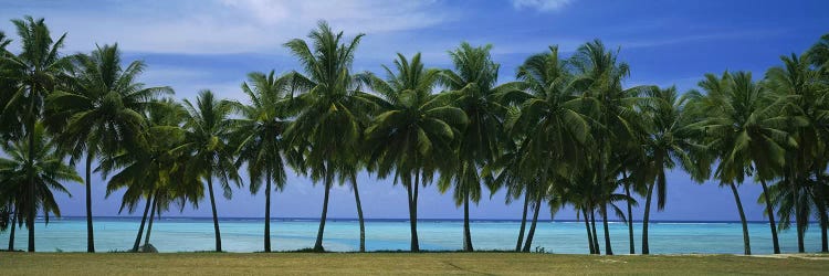 Palms & lagoon Aitutaki Cook Islands