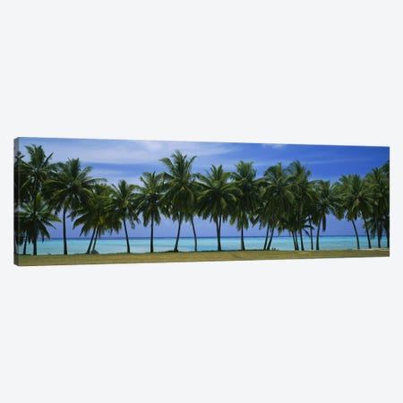 Palms & lagoon Aitutaki Cook Islands Canvas Print #PIM2821} by Panoramic Images Canvas Print