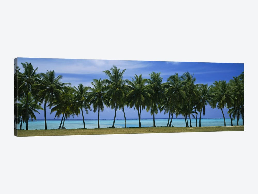 Palms & lagoon Aitutaki Cook Islands by Panoramic Images 1-piece Canvas Wall Art