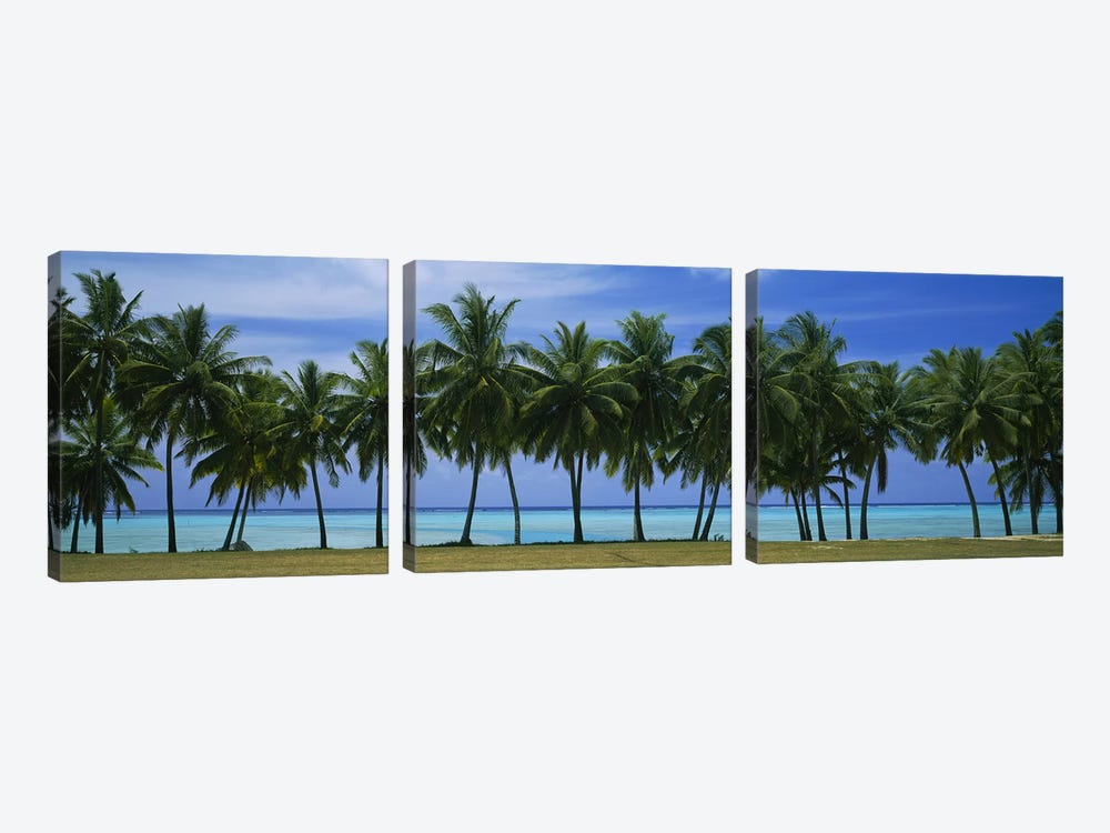 Palms & lagoon Aitutaki Cook Islands by Panoramic Images 3-piece Canvas Wall Art