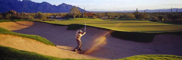 Golf: Golf Course Tucson AZ USA by Panoramic Images