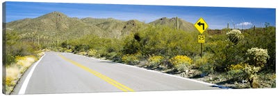 Directional signboard at the roadsideMcCain Loop Road, Tucson Mountain Park, Tucson, Arizona, USA Canvas Art Print - Tucson Art