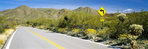 Tucson: Directional signboard at the roadsideMcCain Loop Road, Tucson Mountain Park, Tucson, Arizona, USA by Panoramic Images