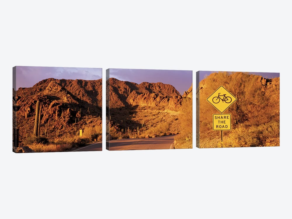 Gates Pass Road Tucson Mountain Park Arizona USA by Panoramic Images 3-piece Canvas Wall Art