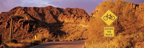 Tucson: Gates Pass Road Tucson Mountain Park Arizona USA by Panoramic Images