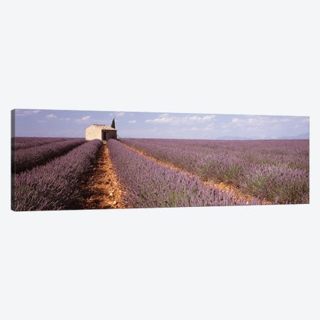 Lone Building In A Lavender Field, Valensole, Provence-Alpes-Cote d'Azur, France Canvas Print #PIM2866} by Panoramic Images Canvas Artwork