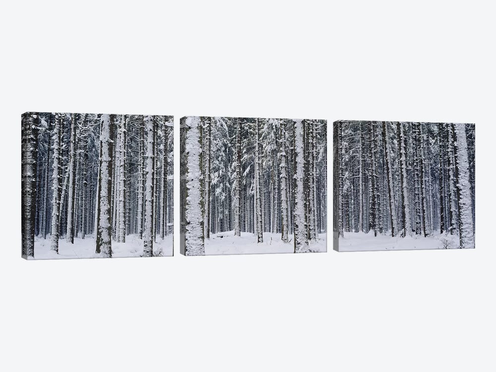 Snow covered trees in a forestAustria by Panoramic Images 3-piece Canvas Artwork