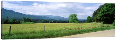 Valley Landscape, Cades Cove, Great Smoky Mountains National Park, Tennessee, USA Canvas Art Print - Great Smoky Mountains National Park Art