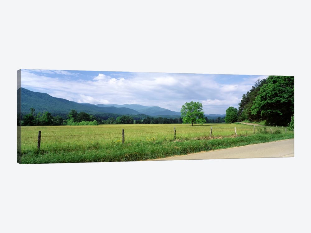 Valley Landscape, Cades Cove, Great Smoky Mountains National Park, Tennessee, USA by Panoramic Images 1-piece Canvas Art Print