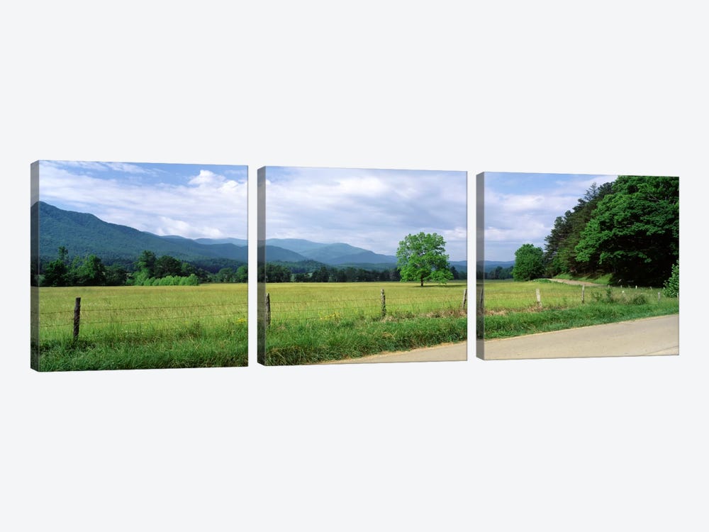 Valley Landscape, Cades Cove, Great Smoky Mountains National Park, Tennessee, USA by Panoramic Images 3-piece Canvas Art Print