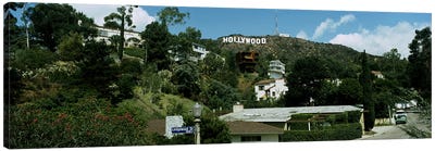 Low angle view of a hillHollywood Hills, City of Los Angeles, California, USA Canvas Art Print - Hill & Hillside Art