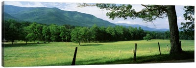 Parceled Meadow, Cades Cove, Great Smoky Mountains National Park, Tennessee, USA Canvas Art Print - Great Smoky Mountains National Park Art