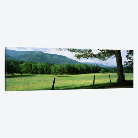 Parceled Meadow, Cades Cove, Great Smoky Mountains National Park, Tennessee, USA Canvas Print #PIM289} by Panoramic Images Canvas Artwork