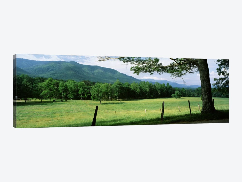 Parceled Meadow, Cades Cove, Great Smoky Mountains National Park, Tennessee, USA by Panoramic Images 1-piece Canvas Art