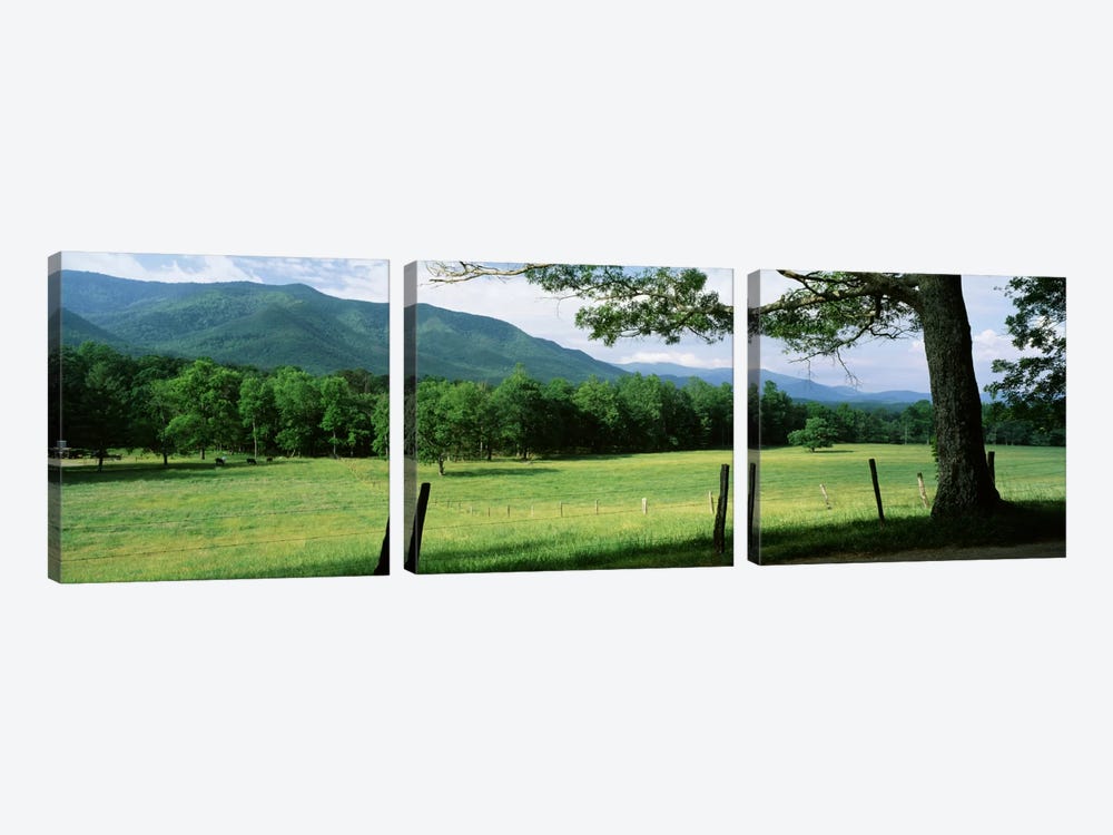 Parceled Meadow, Cades Cove, Great Smoky Mountains National Park, Tennessee, USA by Panoramic Images 3-piece Canvas Art