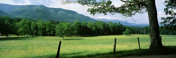 Tennessee: Parceled Meadow, Cades Cove, Great Smoky Mountains National Park, Tennessee, USA by Panoramic Images