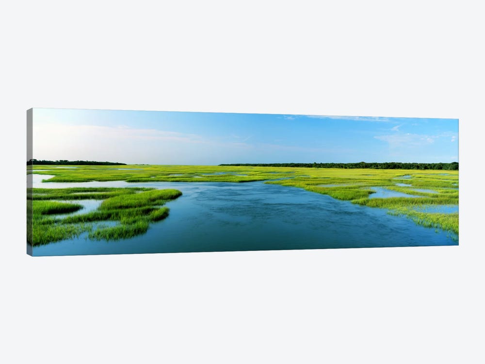 Sea grass in the sea, Atlantic Coast, Jacksonville, Florida, USA by Panoramic Images 1-piece Canvas Artwork