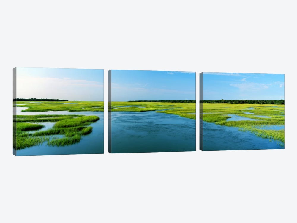 Sea grass in the sea, Atlantic Coast, Jacksonville, Florida, USA by Panoramic Images 3-piece Canvas Art