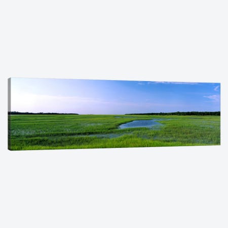 USA, Florida, Jacksonville, Atlantic Coast, Salt Marshes Canvas Print #PIM293} by Panoramic Images Canvas Art Print