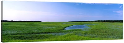 USA, Florida, Jacksonville, Atlantic Coast, Salt Marshes Canvas Art Print - Marsh & Swamp Art