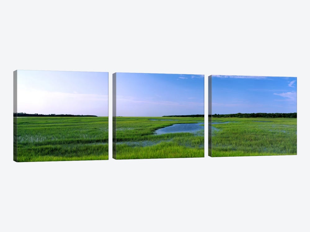 USA, Florida, Jacksonville, Atlantic Coast, Salt Marshes by Panoramic Images 3-piece Canvas Art Print